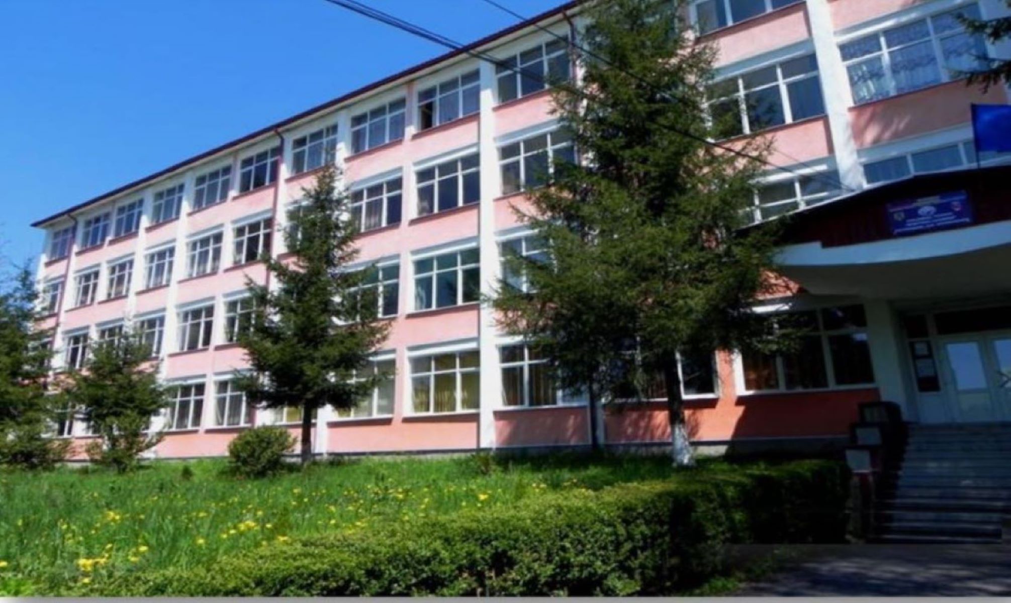 site de prezentare Leonida